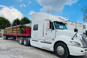 camion_transflosa